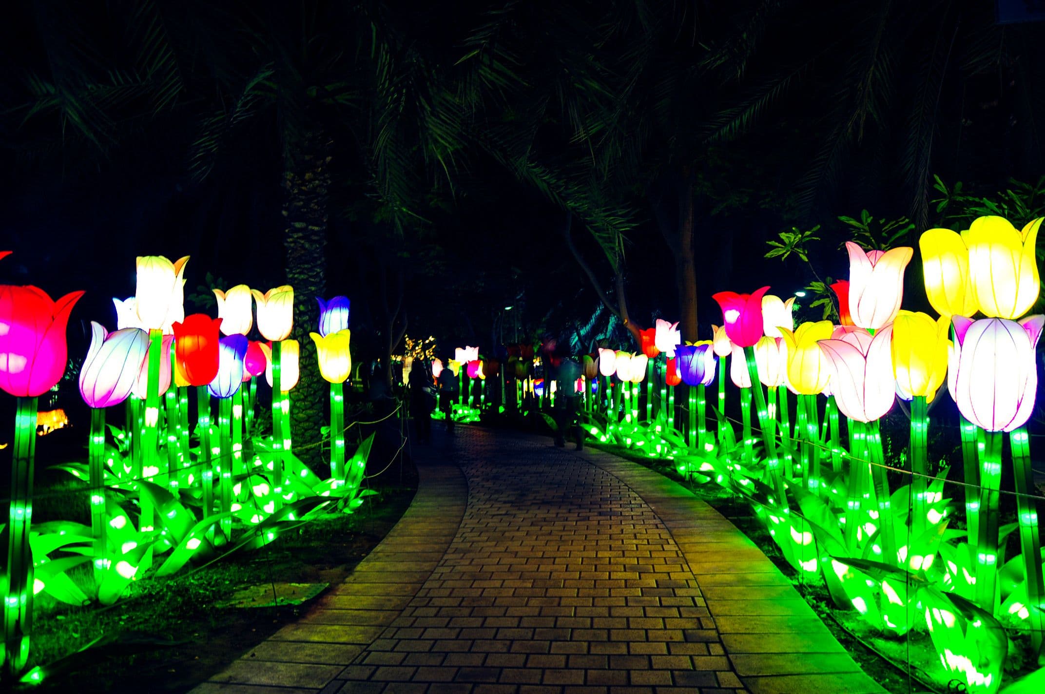 Glow Park Grand city International